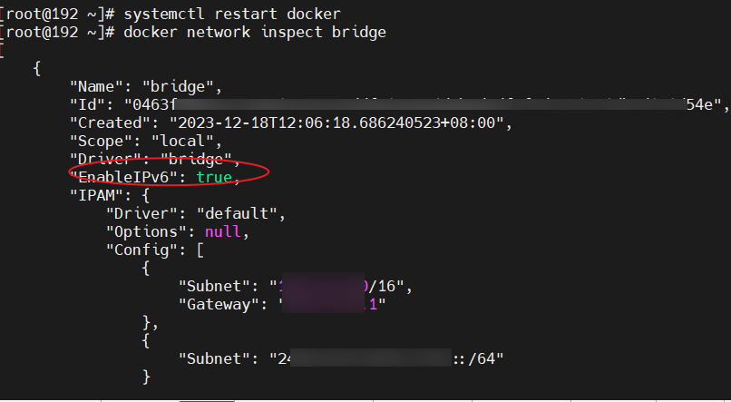 Enabling IPv6 Support in Docker