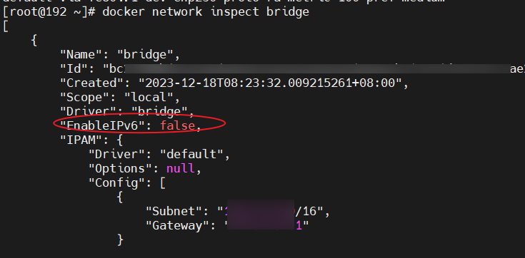 Enabling IPv6 Support in Docker