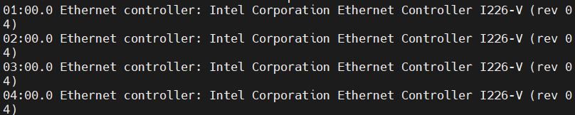 Steps to Set Up NIC Passthrough for PVE 8.1.x Virtual Machines