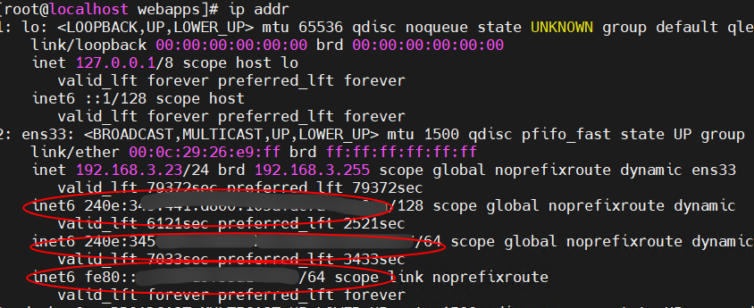 Enabling IPV6 Resolution Support in aapanel and Baota Panel