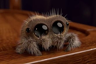 Featured image of post Lucas the Spider - Free Download of the English Animation Series for Kids