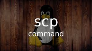 Featured image of post SCP Command Syntax for Copying Files and Directories